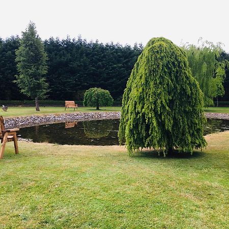 Castledale Bed & Breakfast Sligo Eksteriør bilde