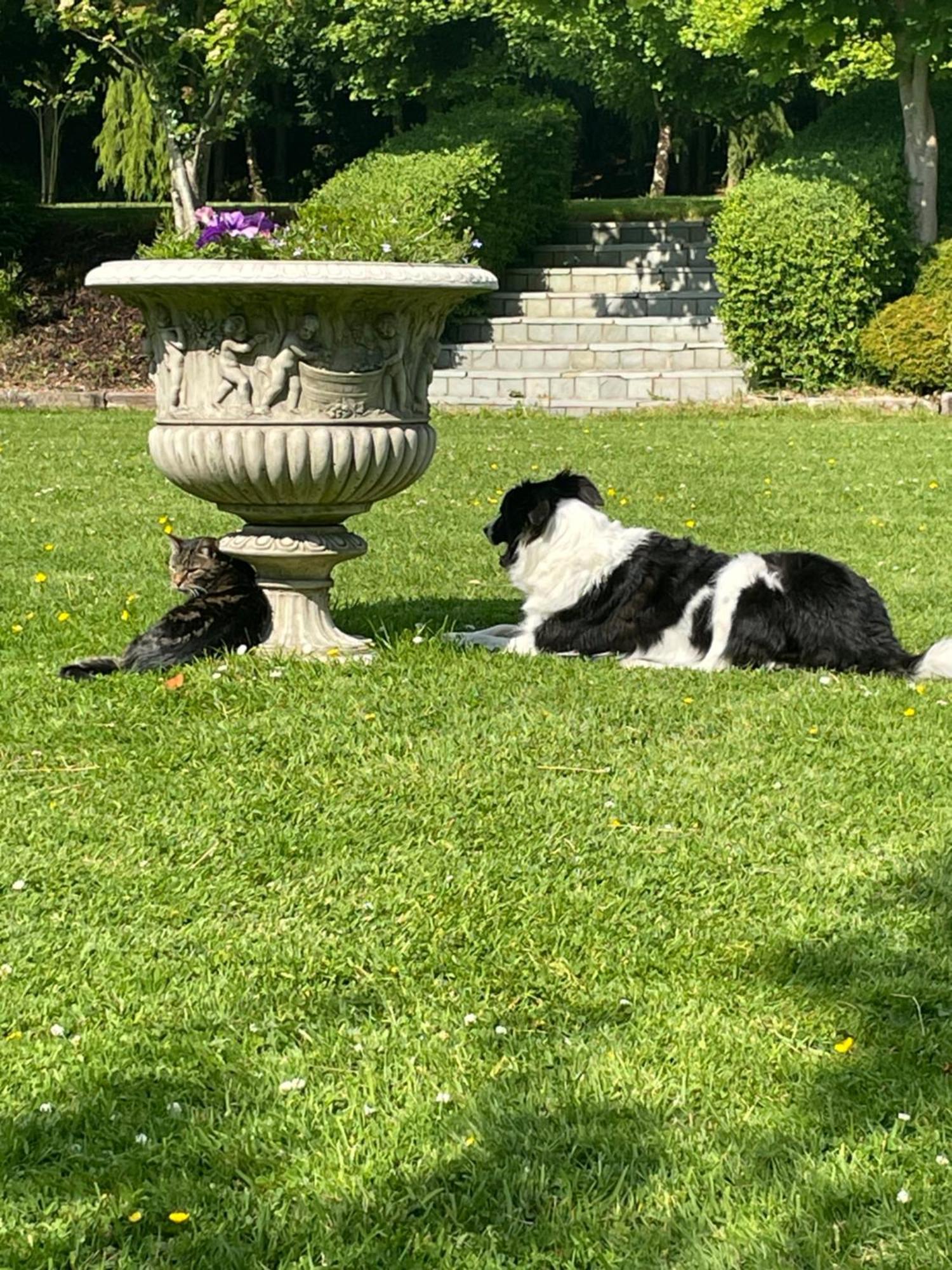 Castledale Bed & Breakfast Sligo Eksteriør bilde